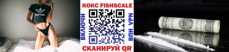 где купить Петровск КОКАИН Эквадор