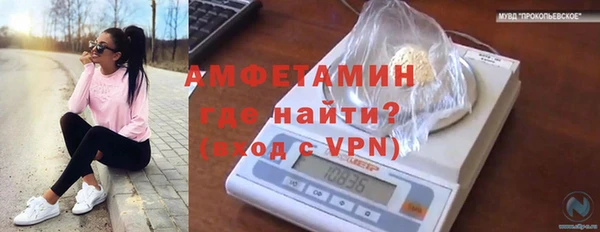 мяу мяу мука Майский
