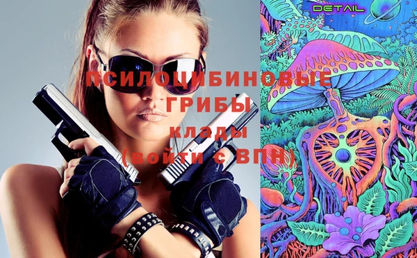 мяу мяу мука Майский
