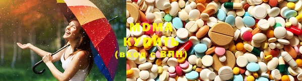 мяу мяу мука Майский