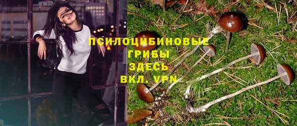 прущий лед Магас