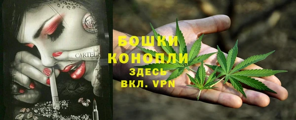 прущий лед Магас