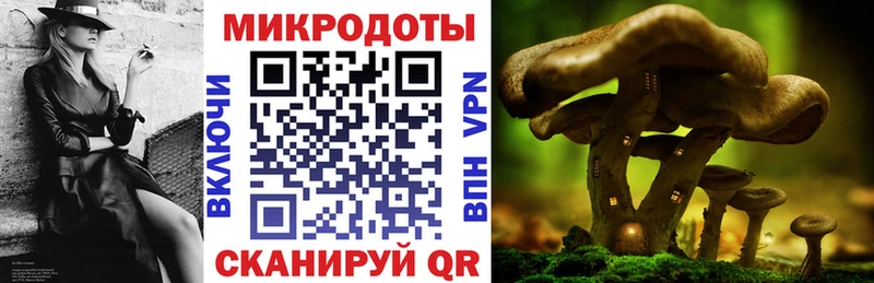 kraken вход  Петровск  Псилоцибиновые грибы ЛСД 