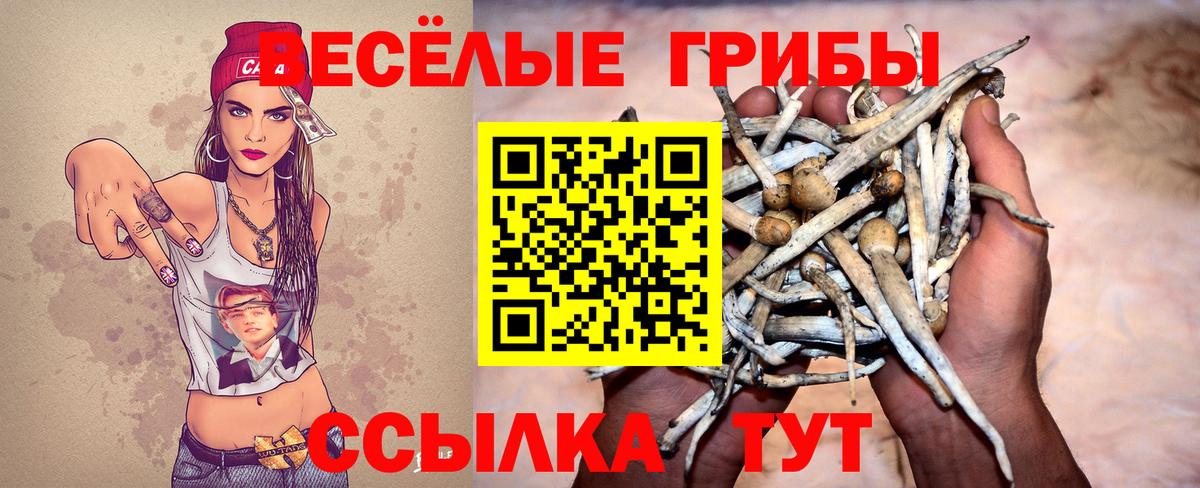 Петровск  Псилоцибиновые грибы MAGIC MUSHROOMS  Галлюциногенные грибы Psilocybe  Вход с VPN 